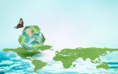 Biodegradable Cleaning Products 2023