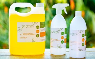 Taking our cue from Nature